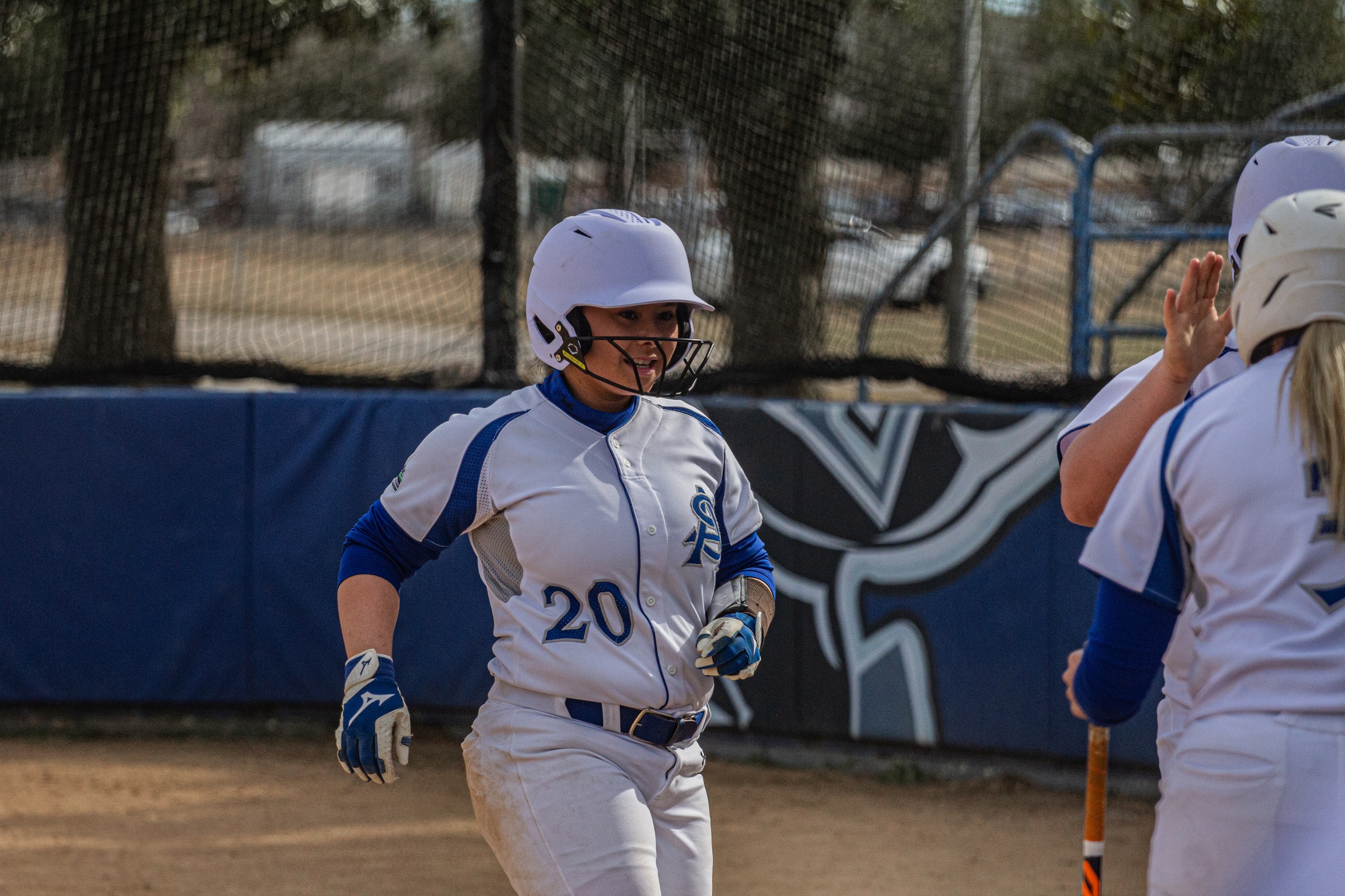 Knights softball drops back-to-back games against Columbia International University at home